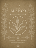Té Blanco – Infusión delicada, suave y elegante